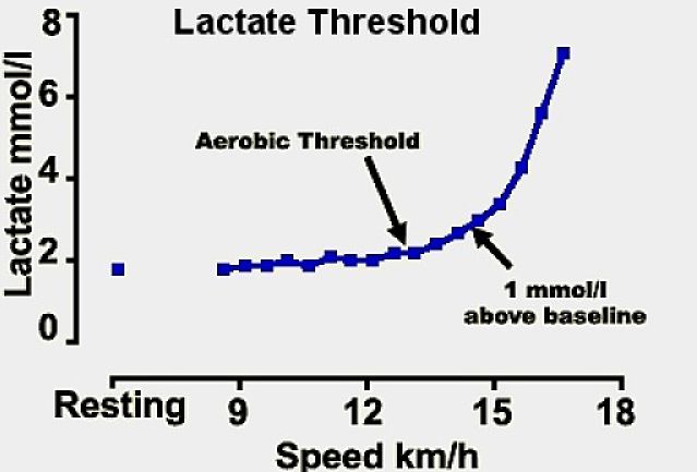How running speed affects lactate levels and the shift from aerobic to anaerobic energy production. This defines the magic pace - just before the lactate threshold