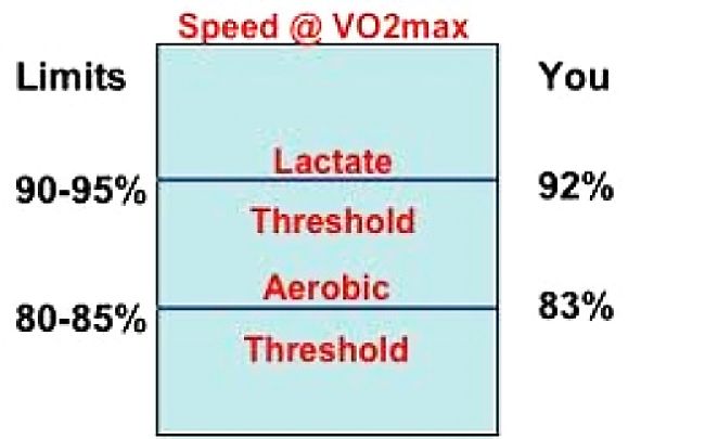 VOmax - how it relates to the Lactate and Aerobic Running Thresholds