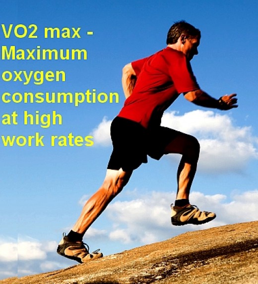 VOmax defines the maxiumum aerobic work rate and is a good measure of fitness