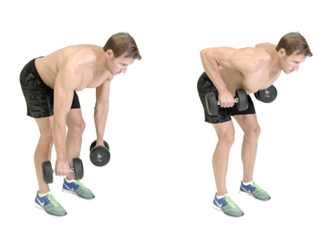 Upright Dumbbell Row Conditioning Exercise Using Hand Weights