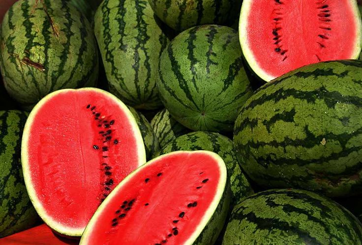 The humble watermelon has many outstanding health benefits