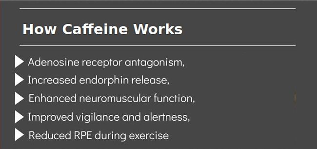 How caffeine affects metabolism 