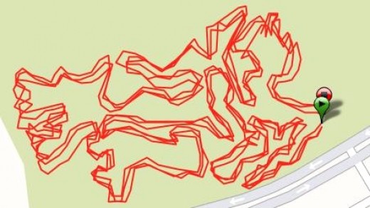 Trail Run