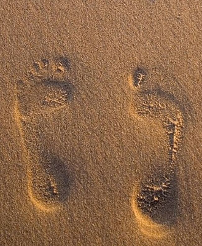 Footprints in the wet sand which is a very forgiving surface