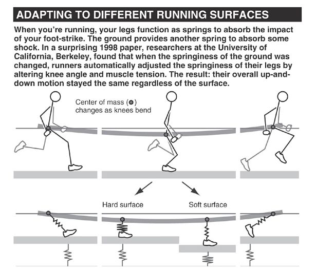 Adapting to running on various surfaces