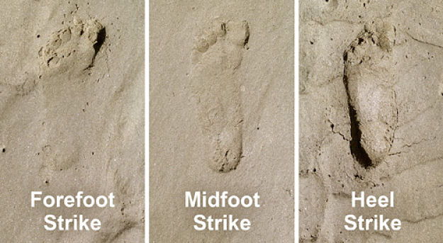 Footprint casts of how foot strikes the ground in various gaits - front - mid and heel first positions