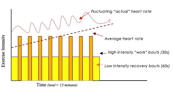 Interval training helps to keep heart rates within acceptable limits. The average heart rates tends to increase steadily during the training period.