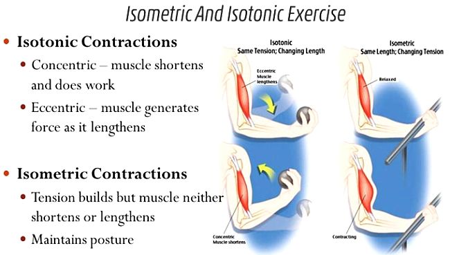What are isometric exercises - learn more in this article