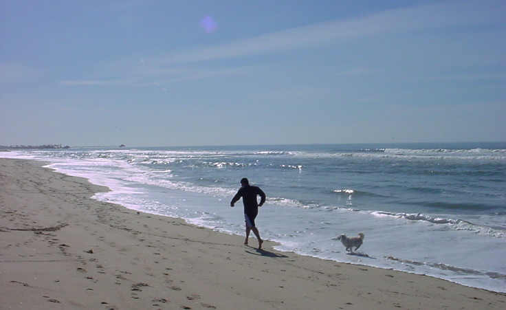 Jogging at dawn along an isolated and lonely beach with your down. Simply heaven!