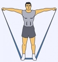 Lateral Row Wing Flaps Exercise