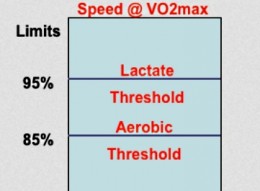 Threholds between anaerobic and aerobic performance