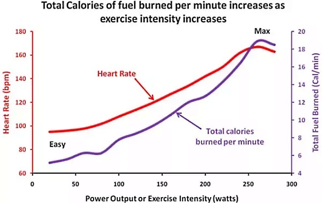 Clearly the burn rate for calories increases as the intensity of the exercise increases