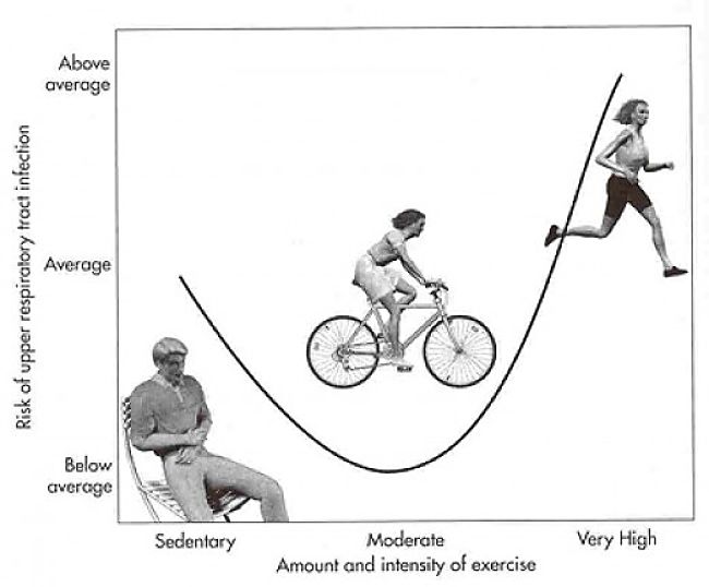 The type and Intensity of exercise has a large effect on outcomes in terms of health and reducing risk of heart disease and stroke