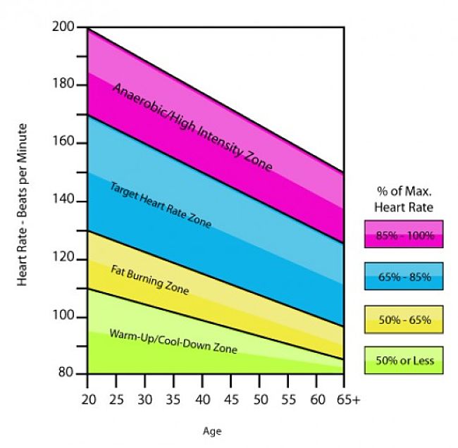 Heart rate is a good indicator of the intensity you should target when exercising